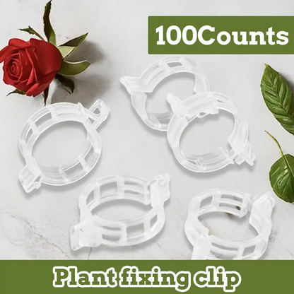 Plant Vine Fixing Clip