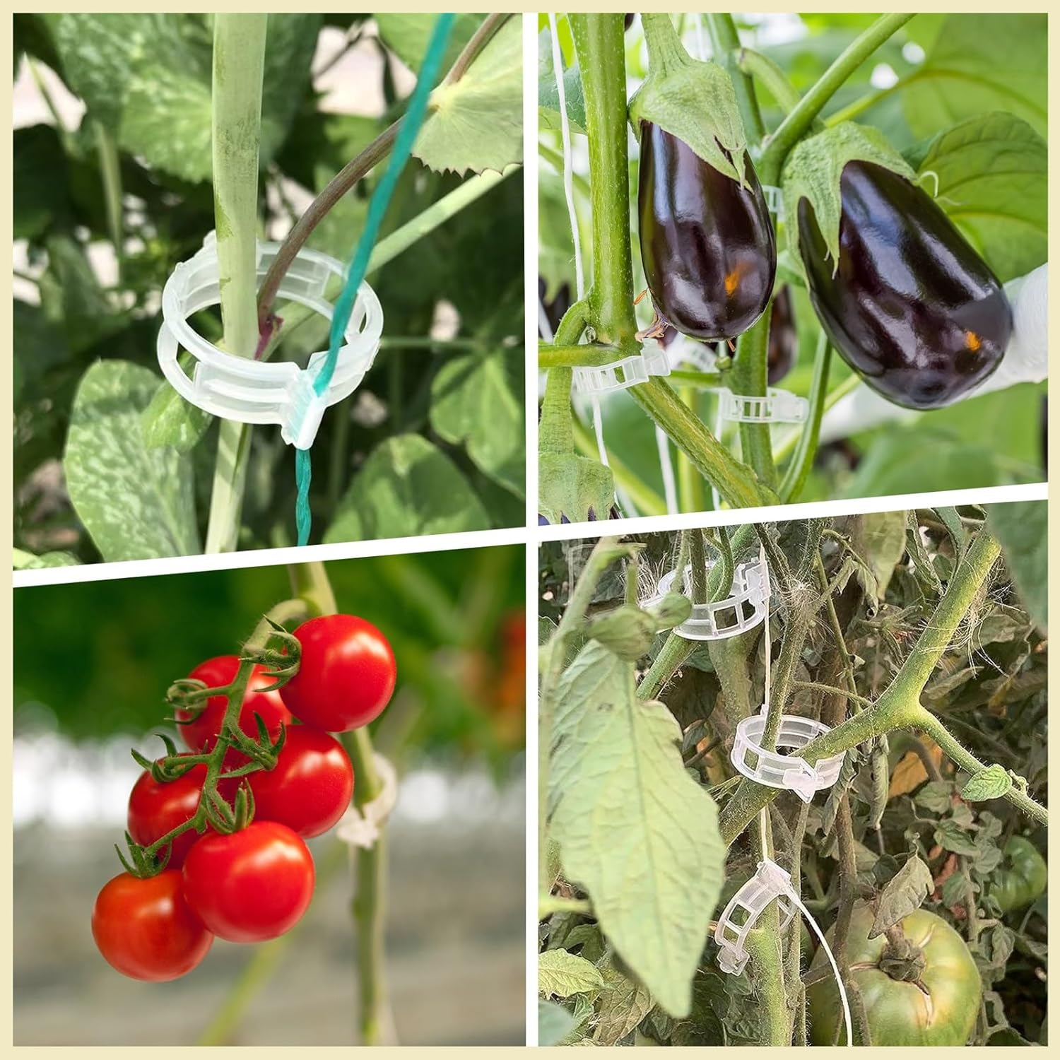 Plant Vine Fixing Clip