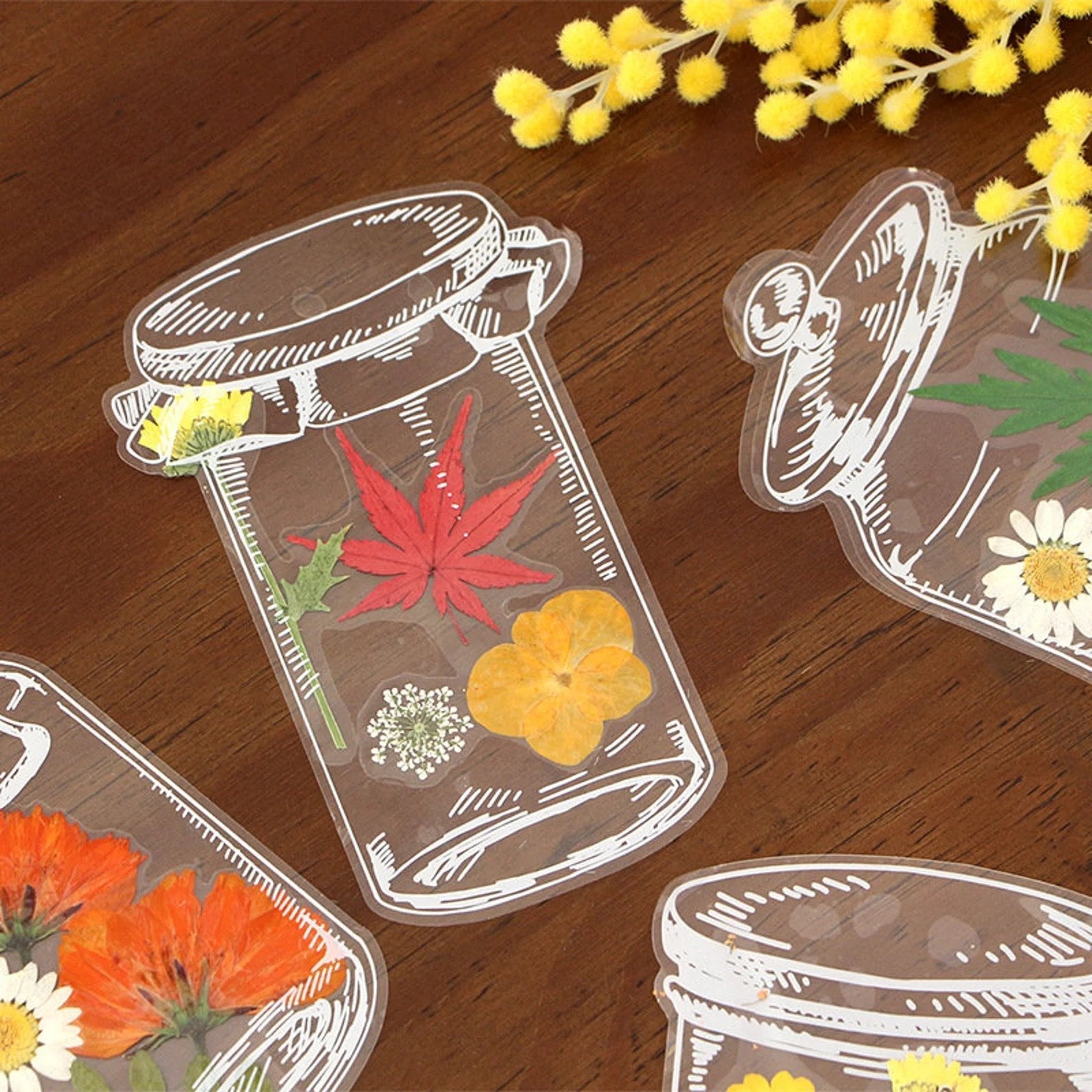20pcs Transparent Dried Flower Bookmarks-DIY Gifts Bookmarks