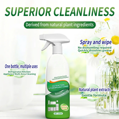 Natural Enzyme Kitchen Spray – Grease & Mold Remover