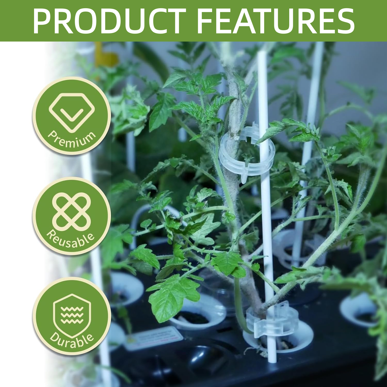 Plant Vine Fixing Clip