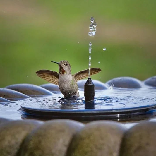 Solar Bird Bath Fountain Pump with 4 Nozzles